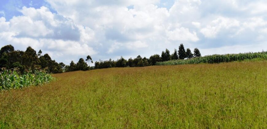 2 acres in Gitutha Ndeiya